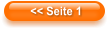 << Seite 1