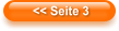 << Seite 3